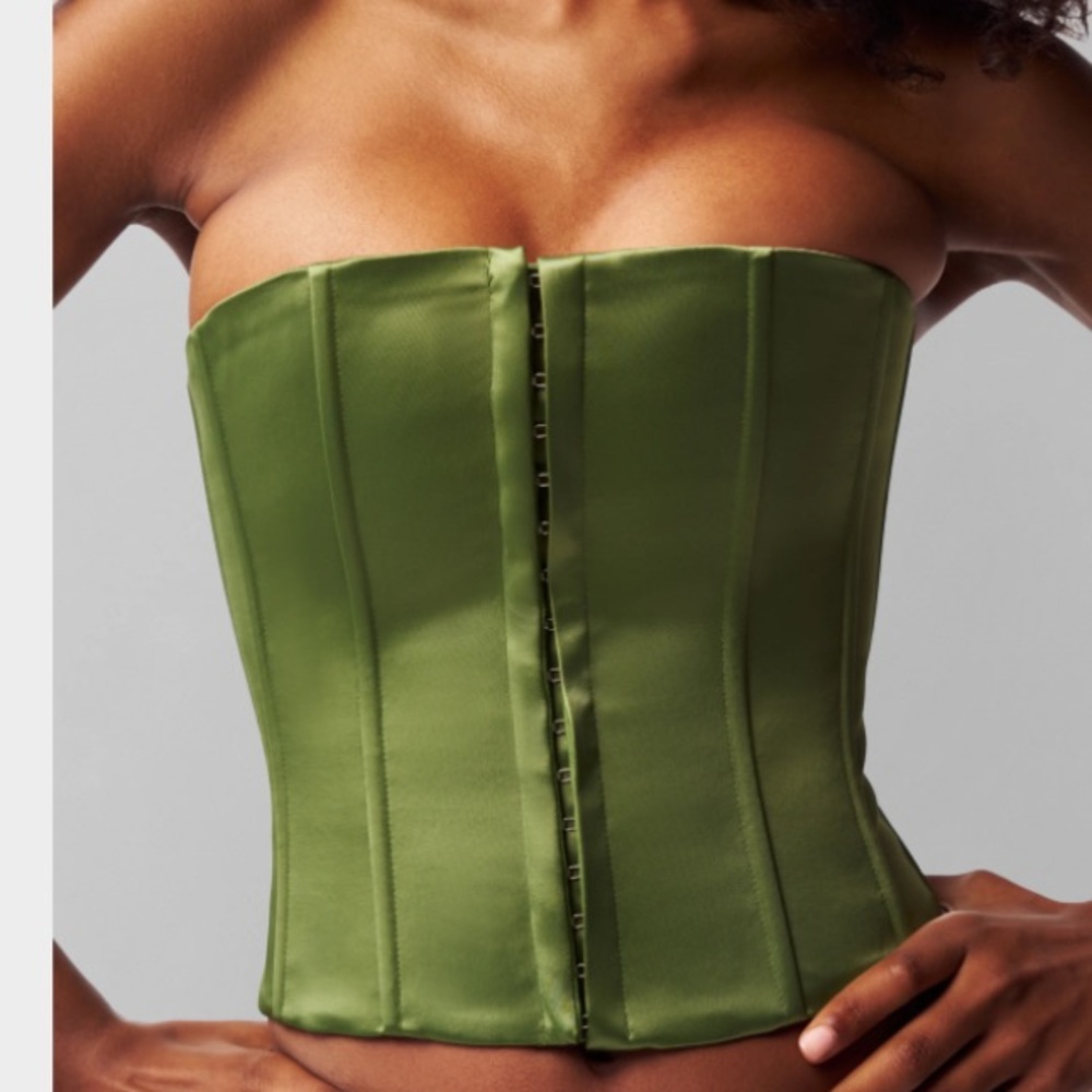 brand new/ tags on Danielle Guizio Corset